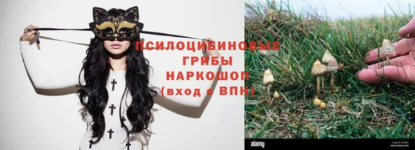 кокс Белоозёрский